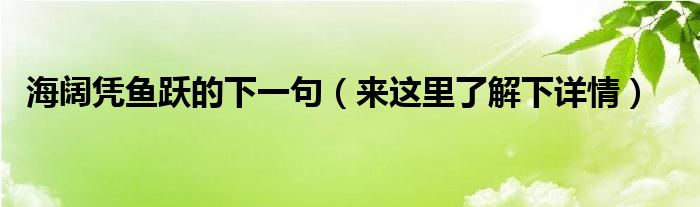 海阔凭鱼跃的下一句（来这里了解下详情）