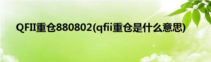 QFII重仓880802(qfii重仓是什么意思)