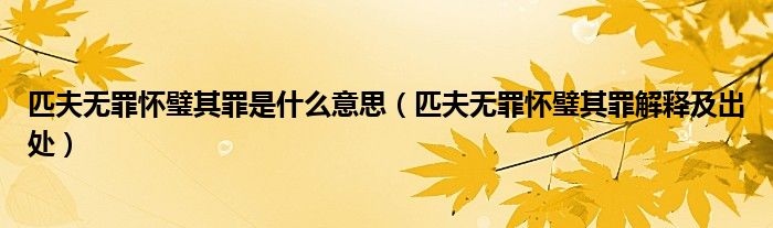 匹夫无罪怀璧其罪是什么意思（匹夫无罪怀璧其罪解释及出处）
