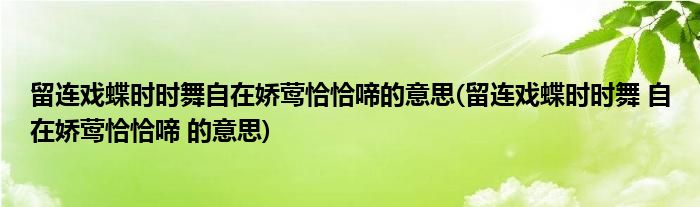 留连戏蝶时时舞自在娇莺恰恰啼的意思(留连戏蝶时时舞 自在娇莺恰恰啼 的意思)