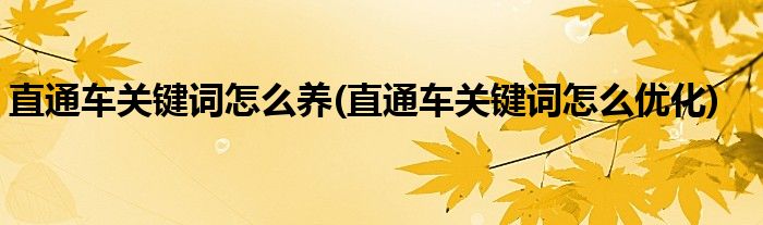 直通车关键词怎么养(直通车关键词怎么优化)