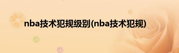 nba技术犯规级别(nba技术犯规)