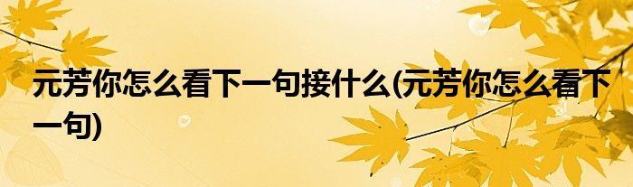 元芳你怎么看下一句接什么(元芳你怎么看下一句)