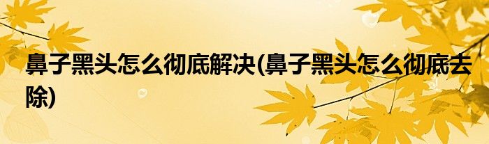 鼻子黑头怎么彻底解决(鼻子黑头怎么彻底去除)