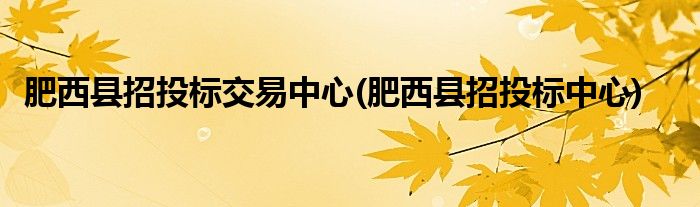 肥西县招投标交易中心(肥西县招投标中心)