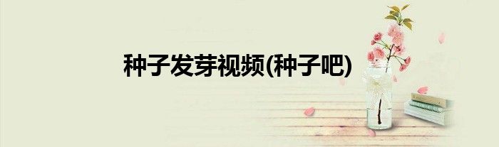 种子发芽视频(种子吧)