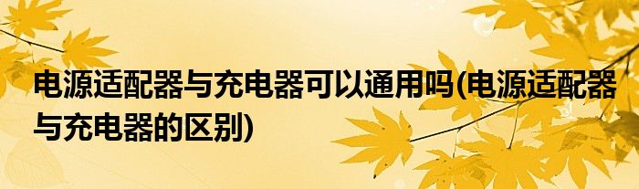 电源适配器与充电器可以通用吗(电源适配器与充电器的区别)