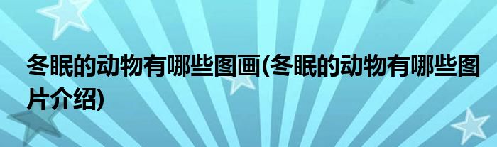 冬眠的动物有哪些图画(冬眠的动物有哪些图片介绍)