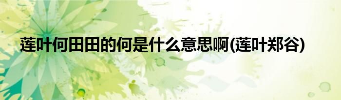 莲叶何田田的何是什么意思啊(莲叶郑谷)