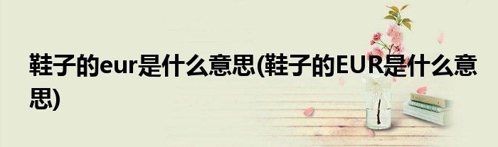 鞋子的eur是什么意思(鞋子的EUR是什么意思)