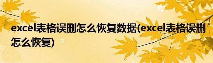 excel表格误删怎么恢复数据(excel表格误删怎么恢复)