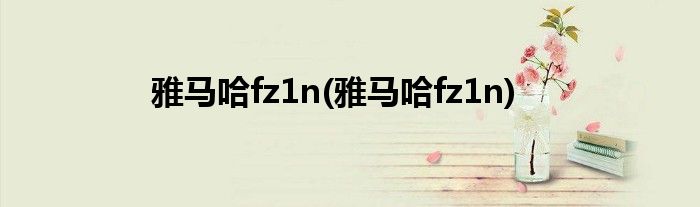 雅马哈fz1n(雅马哈fz1n)