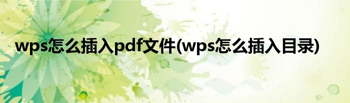 wps怎么插入pdf文件(wps怎么插入目录)