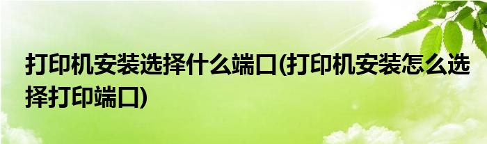 打印机安装选择什么端口(打印机安装怎么选择打印端口)