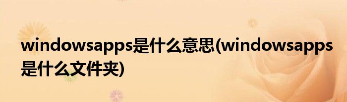windowsapps是什么意思(windowsapps是什么文件夹)