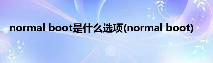 normal boot是什么选项(normal boot)