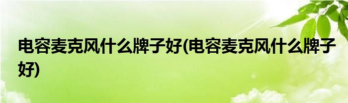 电容麦克风什么牌子好(电容麦克风什么牌子好)