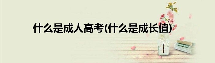什么是成人高考(什么是成长值)