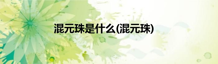 混元珠是什么(混元珠)