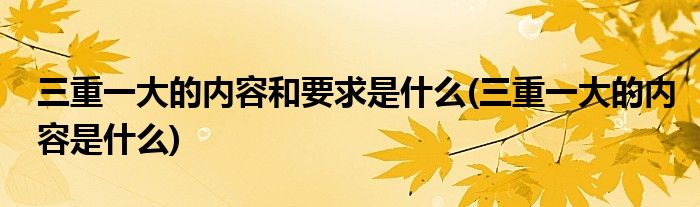三重一大的内容和要求是什么(三重一大的内容是什么)