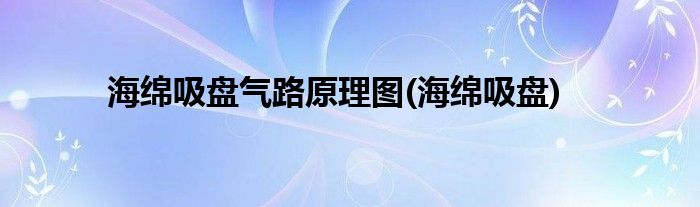 海绵吸盘气路原理图(海绵吸盘)
