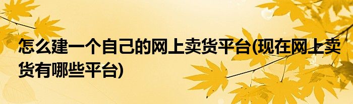 怎么建一个自己的网上卖货平台(现在网上卖货有哪些平台)