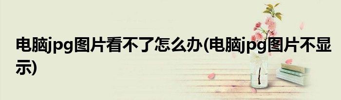 电脑jpg图片看不了怎么办(电脑jpg图片不显示)