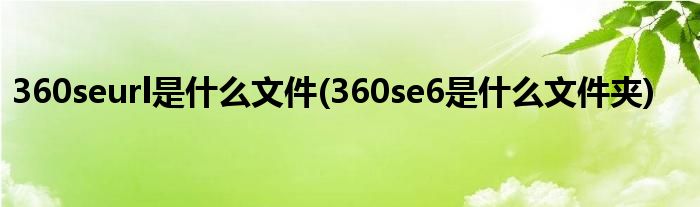 360seurl是什么文件(360se6是什么文件夹)