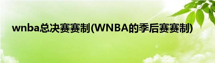 wnba总决赛赛制(WNBA的季后赛赛制)