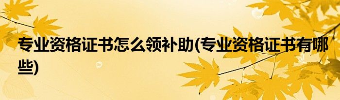 专业资格证书怎么领补助(专业资格证书有哪些)