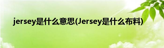 jersey是什么意思(Jersey是什么布料)