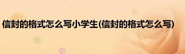 信封的格式怎么写小学生(信封的格式怎么写)