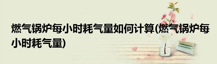 燃气锅炉每小时耗气量如何计算(燃气锅炉每小时耗气量)