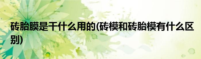 砖胎膜是干什么用的(砖模和砖胎模有什么区别)