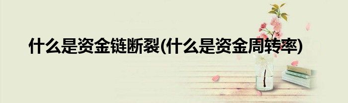 什么是资金链断裂(什么是资金周转率)