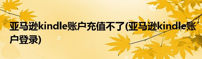 亚马逊kindle账户充值不了(亚马逊kindle账户登录)