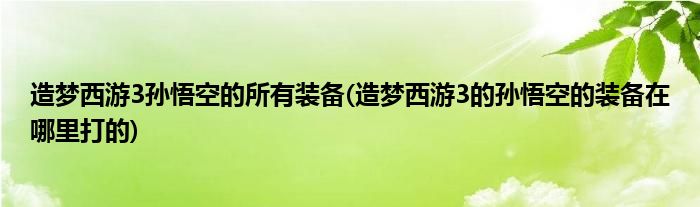 造梦西游3孙悟空的所有装备(造梦西游3的孙悟空的装备在哪里打的)