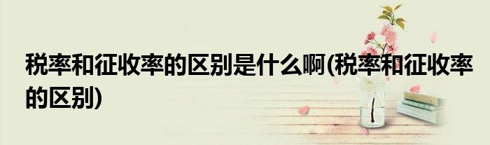税率和征收率的区别是什么啊(税率和征收率的区别)