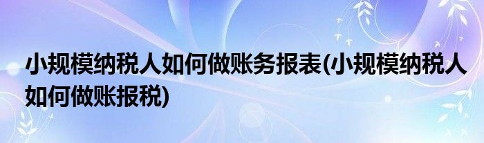 小规模纳税人如何做账务报表(小规模纳税人如何做账报税)