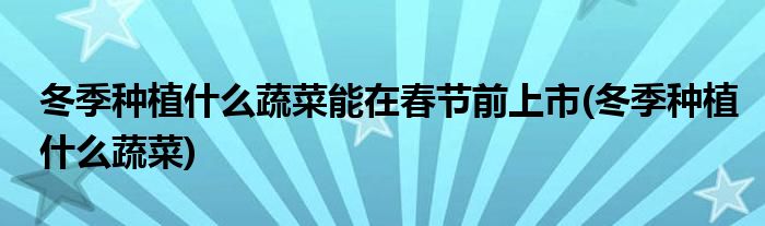 冬季种植什么蔬菜能在春节前上市(冬季种植什么蔬菜)