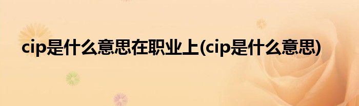 cip是什么意思在职业上(cip是什么意思)