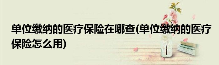 单位缴纳的医疗保险在哪查(单位缴纳的医疗保险怎么用)