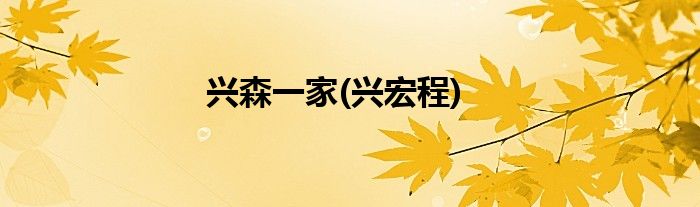 兴森一家(兴宏程)