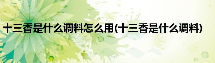 十三香是什么调料怎么用(十三香是什么调料)