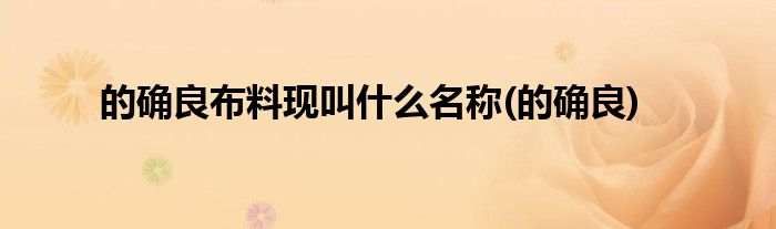 的确良布料现叫什么名称(的确良)