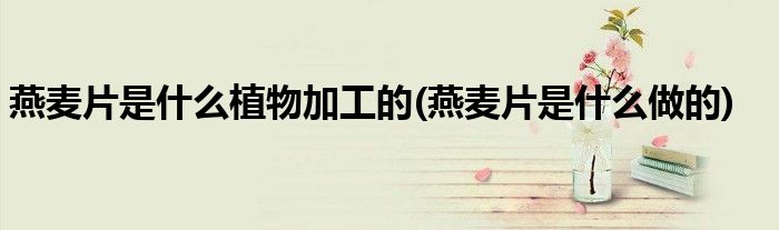 燕麦片是什么植物加工的(燕麦片是什么做的)