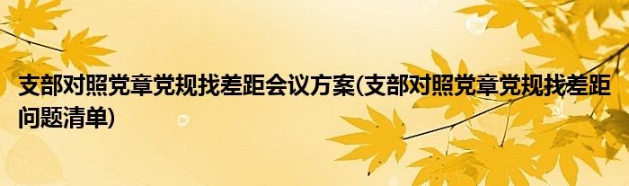 支部对照党章党规找差距会议方案(支部对照党章党规找差距问题清单)