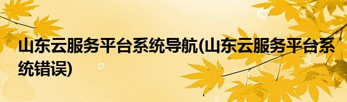 山东云服务平台系统导航(山东云服务平台系统错误)