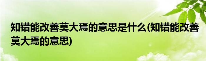 知错能改善莫大焉的意思是什么(知错能改善莫大焉的意思)