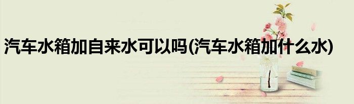 汽车水箱加自来水可以吗(汽车水箱加什么水)